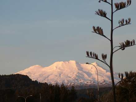 Home Based Business Travel- Snow Skiing Mt Ruapehu New Zealand